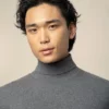 Polo Roll Neck Grey - Image 2